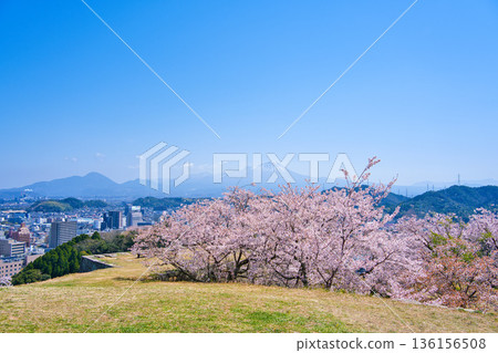 <Tottori Prefecture> Spring in the ruins of Yonago Castle, a view of Mt. Daisen from the main tower, April 136156508