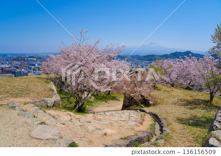 <Tottori Prefecture> Yonago Castle Ruins, Cherry Blossoms at the Iron Gate Ruins and Mt. Daisen, April <Tottori Prefecture> Yonago Castle Ruins, Cherry Blossoms at the Iron Gate Ruins and Mt. Daisen, April 136156509