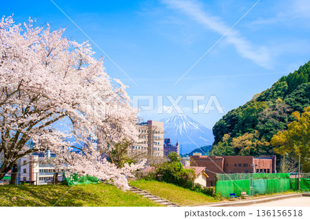 <鳥取縣> 米子城遺址:四月,原二之丸遺址網球場和大山上的櫻花盛開 <鳥取縣> 米子城遺址:四月,原二之丸遺址網球場和大山上的櫻花盛開 136156518
