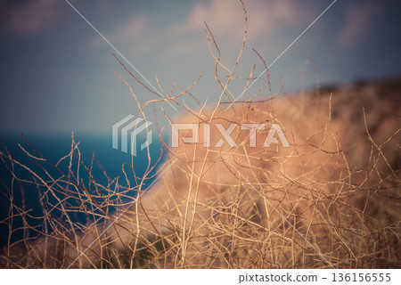 Greek seaside with cliffs Greek seaside with cliffs 136156555