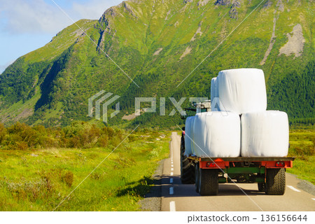 Bale of hay wrapped in plastic foil, Norway 136156644