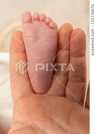 Minimal close-up of newborn baby feet placed in an adult hand. Symbol of protection, care, family love and fragile new life in warm natural tones Minimal close-up of newborn baby feet placed in an adult hand. Symbol of protection, care, family love and fragile new life in warm natural tones 136156676