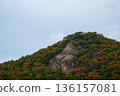 獅子山 136157081