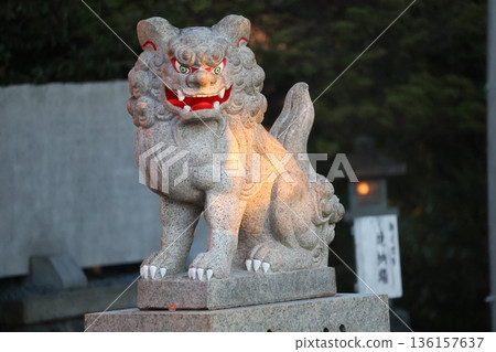 神社狛犬的特寫鏡頭 136157637