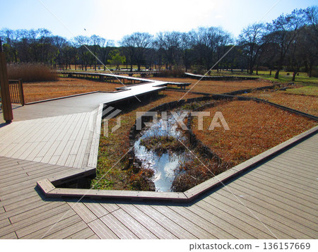 東京足立區舍人公園的各種景色 136157669