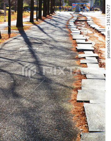 東京足立區舍人公園的各種景色 136157677