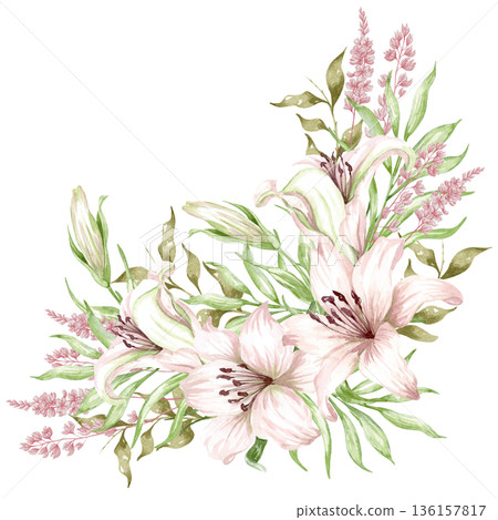 Lilies, set pink flowers on an isolated white background, watercolor illustration, collection 136157817