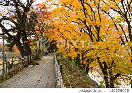 會津若松市敦賀城址公園 136159056