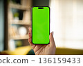 Adult hand holding a vertical modern smartphone with a vivid green screen for easy content replacement, simulating an immersive experience in a home environment 136159433