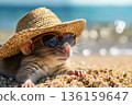 A rat is relaxing on the beach with a hat and glasses. 136159647