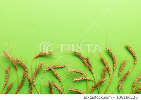 Sheaf of wheat ears close up and seeds on colored background. Natural cereal plant, harvest time concept. Top view, flat lay with copy space. world wheat crisis Sheaf of wheat ears close up and seeds on colored background. Natural cereal plant, harvest time concept. Top view, flat lay with copy space. world wheat crisis 136160120