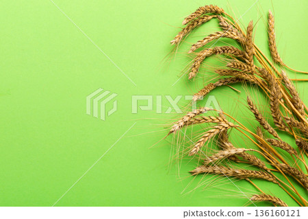Sheaf of wheat ears close up and seeds on colored background. Natural cereal plant, harvest time concept. Top view, flat lay with copy space. world wheat crisis Sheaf of wheat ears close up and seeds on colored background. Natural cereal plant, harvest time concept. Top view, flat lay with copy space. world wheat crisis 136160121