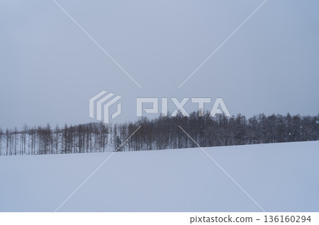 北海道美瑛雪景 北海道美瑛雪景 136160294