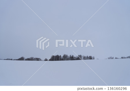 北海道美瑛雪景 136160296