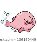 Pink cartoon blobfish swimming underwater with bubbles, vector illustration of sad deep sea fish in flat style on white background, cute character for stickers and children design. 136160449