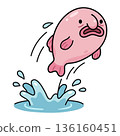 Pink cartoon blobfish jumping out of water with splash, vector illustration of sad deep sea fish character in flat style isolated on white, funny aquatic animal for stickers. 136160451