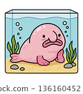 Cute pink blobfish in square glass aquarium with seaweed and sand, sad deep sea fish character in flat cartoon style, isolated vector illustration for pet and marine life design. 136160452
