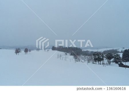 北海道美瑛雪景 北海道美瑛雪景 136160616