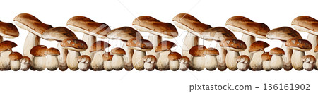 Decorative horizontal border of wild porcini mushrooms arranged in a dense row. Various shapes and sizes with brown caps, ideal for banners, packaging, menu design, culinary projects,. High quality 136161902