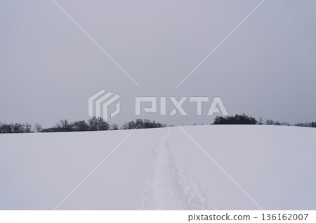 Footprints remaining in the snowy field Footprints remaining in the snowy field 136162007