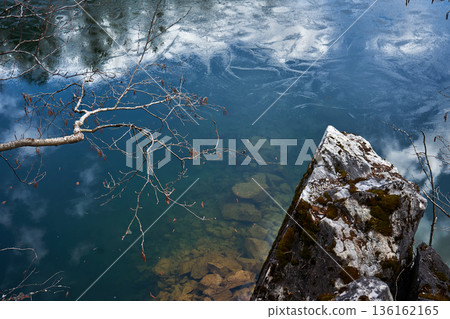 Bare tree branch over clear lake water with underwater rocks. Nature scene featuring a serene body of water and natural beauty. 136162165