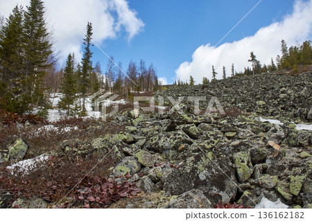 Rocky mountain landscape with evergreen trees and patches of snow on a sunny day. Nature and wilderness concept for travel and outdoor activities. 136162182
