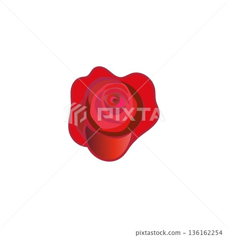 Illustration of a red rose 136162254