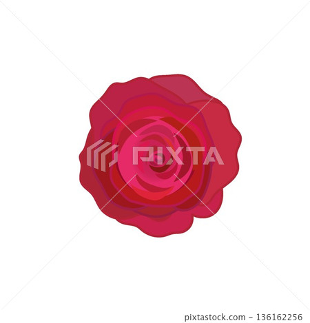 Illustration of a red rose Illustration of a red rose 136162256