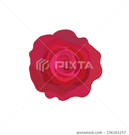 Illustration of a red rose Illustration of a red rose 136162257