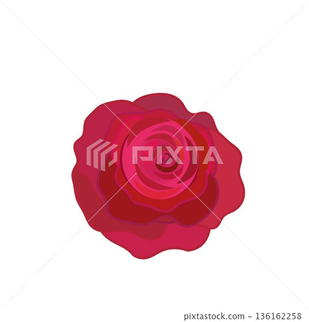 Illustration of a red rose 136162258