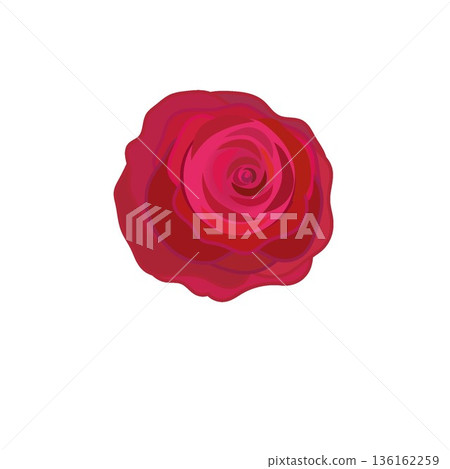 Illustration of a red rose Illustration of a red rose 136162259