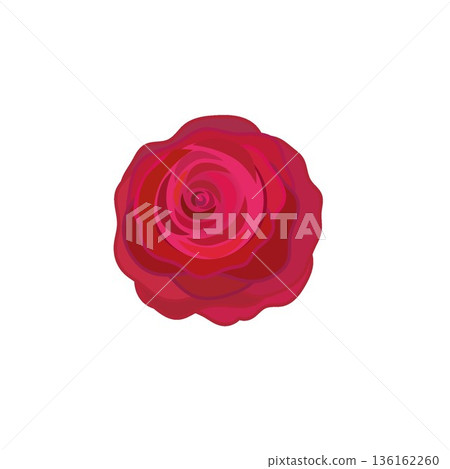 Illustration of a red rose Illustration of a red rose 136162260
