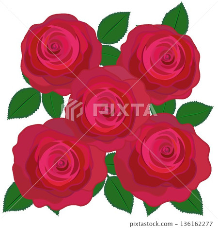 Illustration of a red rose Illustration of a red rose 136162277