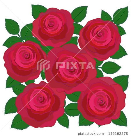 Illustration of a red rose 136162278