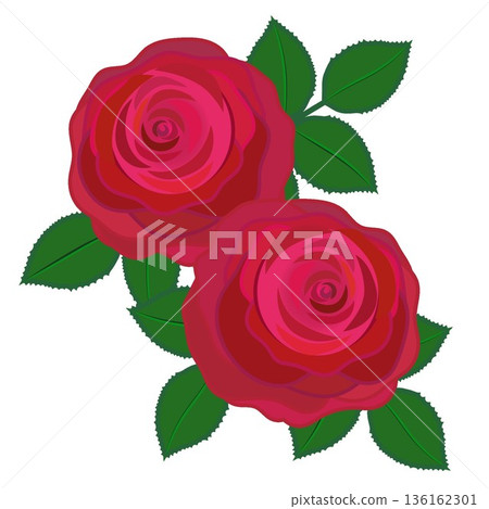 Illustration of a red rose Illustration of a red rose 136162301