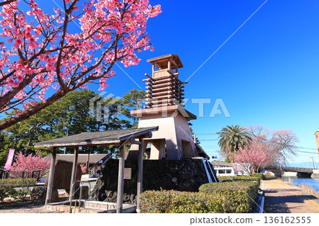 Toi Onsen Golden Water and Toi Cherry Blossoms② Toi Onsen Golden Water and Toi Cherry Blossoms② 136162555