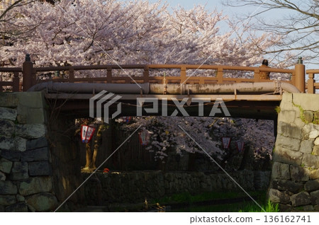 In spring, cherry blossoms bloom in the canals of Omihachiman City, Shiga Prefecture, and pleasure boats sail back and forth. In spring, cherry blossoms bloom in the canals of Omihachiman City, Shiga Prefecture, and pleasure boats sail back and forth. 136162741