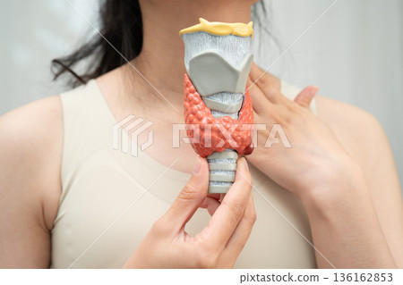 Hyperthyroidism, Overactive Thyroid, Thyroid Lymphoma, Asian woman with thyroid gland human anatomy model. 136162853