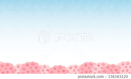 Blue sky and cherry blossom frame background illustration with margin 136163220
