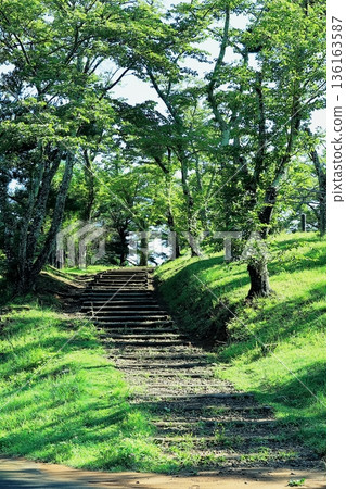A shady staircase surrounded by fresh greenery A shady staircase surrounded by fresh greenery 136163587