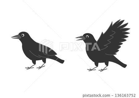 Crow illustration set Crow illustration set 136163752