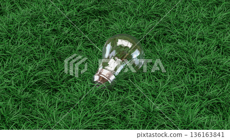 Eco Friendly Energy Light Bulb on Green Grass 3d render. Eco Friendly Energy Light Bulb on Green Grass 3d render. 136163841