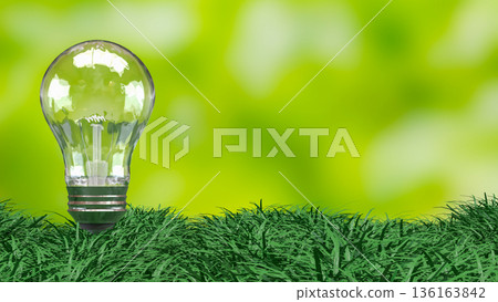 Eco Friendly Energy Light Bulb on Green Grass 3d render. Eco Friendly Energy Light Bulb on Green Grass 3d render. 136163842