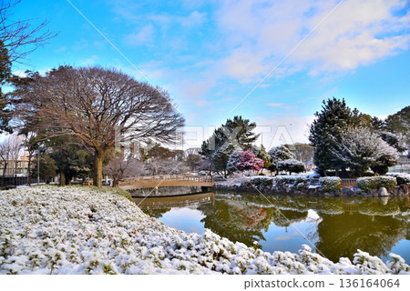 <Aichi Prefecture> Meijo Park covered in snow <Aichi Prefecture> Meijo Park covered in snow 136164064