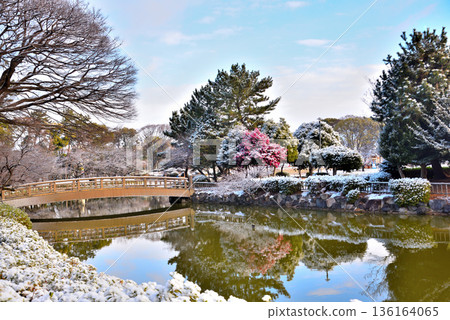 <Aichi Prefecture> Meijo Park covered in snow <Aichi Prefecture> Meijo Park covered in snow 136164065