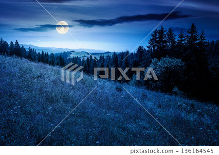 coniferous forest on a steep hillside meadow in summer at night. mountain landscape in full moon light. beautiful nature scenery. mysterious green environment open vista with fir trees near pasture coniferous forest on a steep hillside meadow in summer at night. mountain landscape in full moon light. beautiful nature scenery. mysterious green environment open vista with fir trees near pasture 136164545