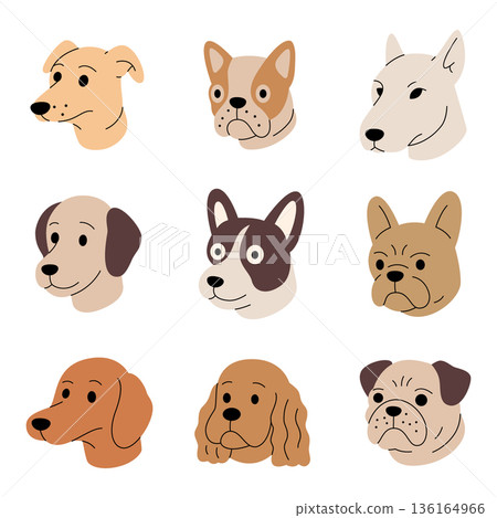 Cartoon dog heads set. Line art puppy faces collection with different breeds for icons Cartoon dog heads set. Line art puppy faces collection with different breeds for icons 136164966