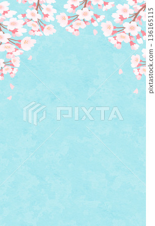 Light blue background and cherry blossom frame watercolor spring 136165115