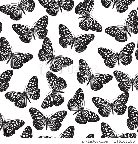 Butterfly Tirumala septentrionis Seamless 136165199