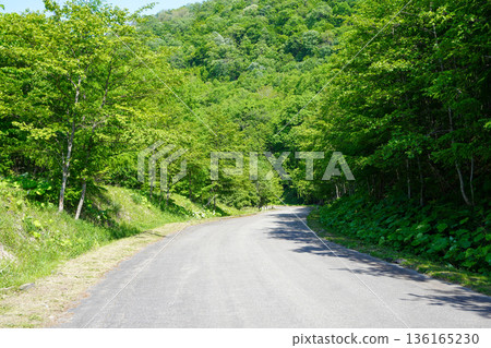 The road to Yubari Shuparo Dam 136165230